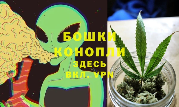 прущая мука Протвино