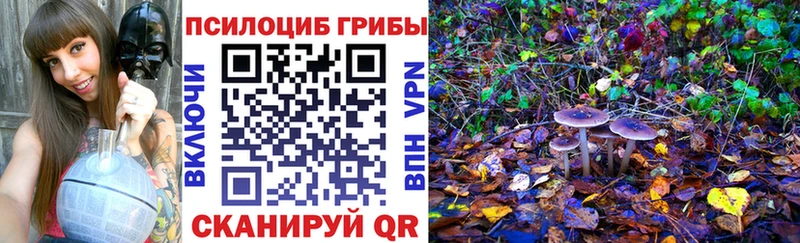 Галлюциногенные грибы мицелий  наркошоп  Бугуруслан 